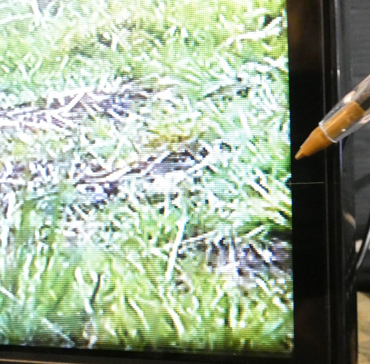 Bush 32 Inch 32HT25CB LED 768p Smart TV UK Delivery No Stand GRADE B-1 — issue photo