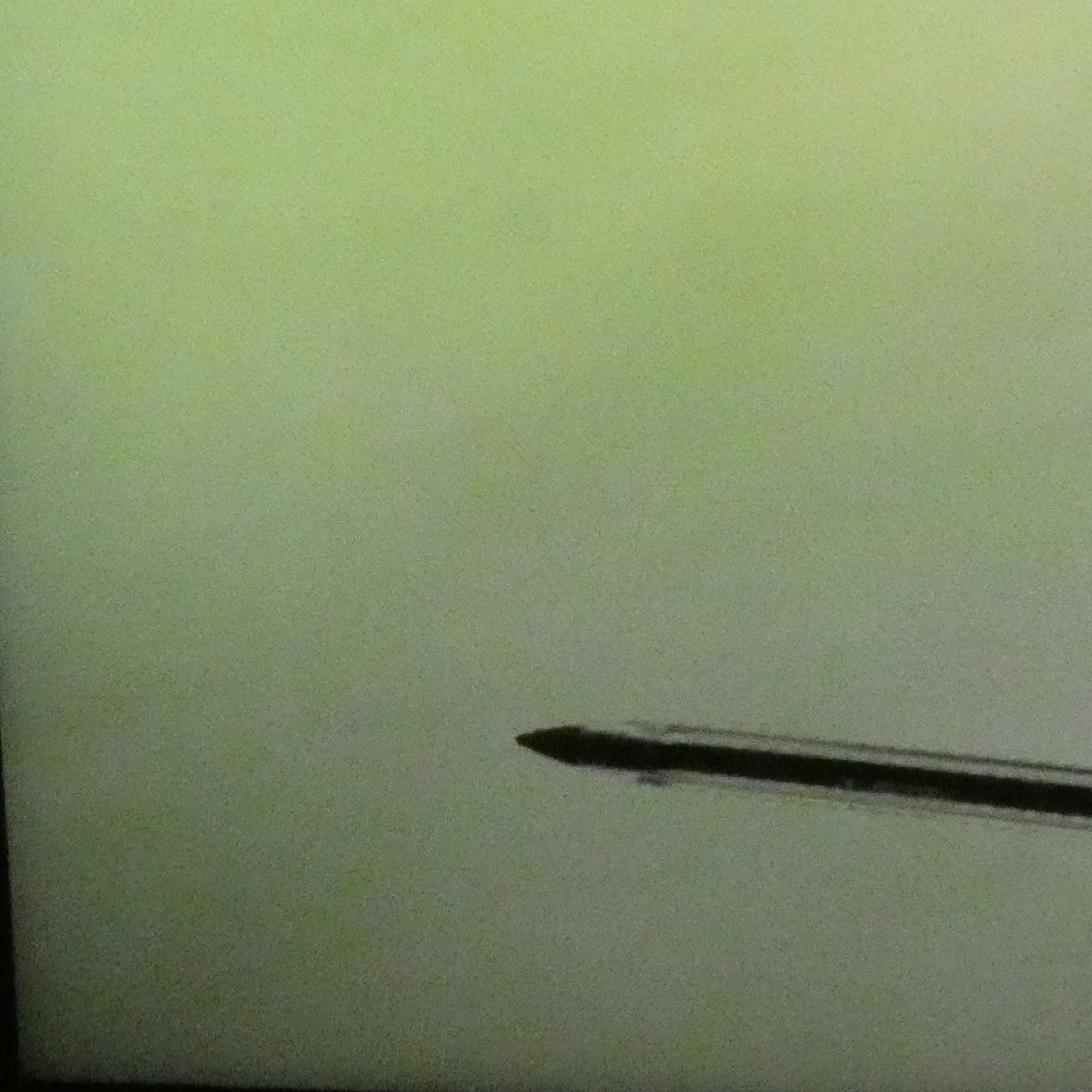 8131616