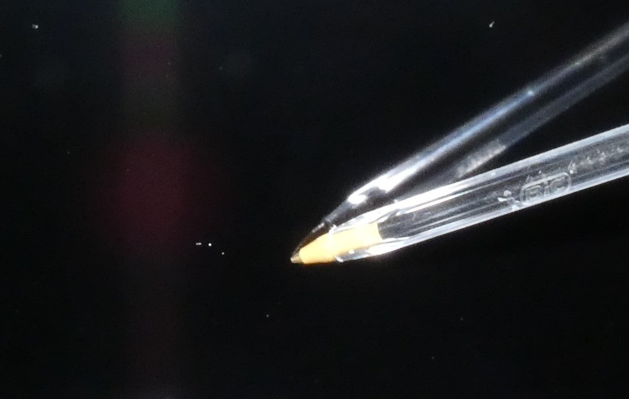 7955140