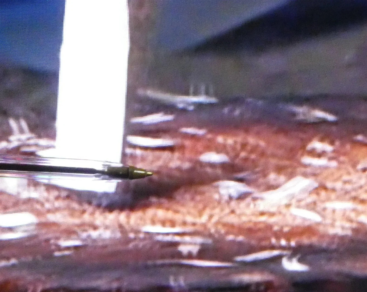 7954729