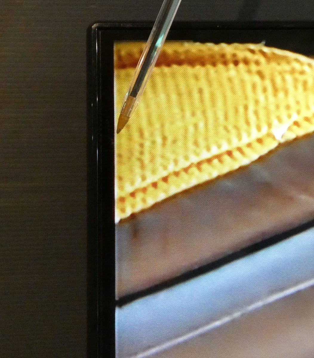 Bush 43 Inch 43FT25CB LED FHD TIVO TV UK Delivery GRADE B-3 — issue photo