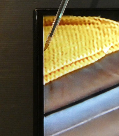 Bush 43 Inch 43FT25CB LED FHD TIVO TV UK Delivery GRADE B-3 — issue photo