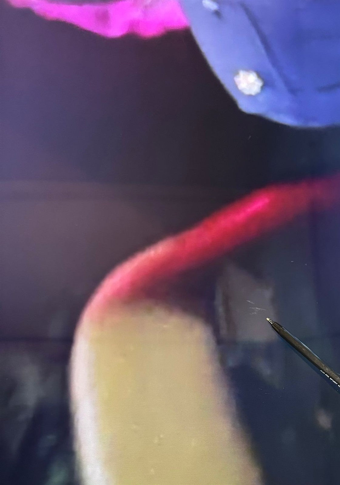 7955197