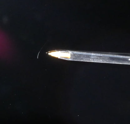 7955140