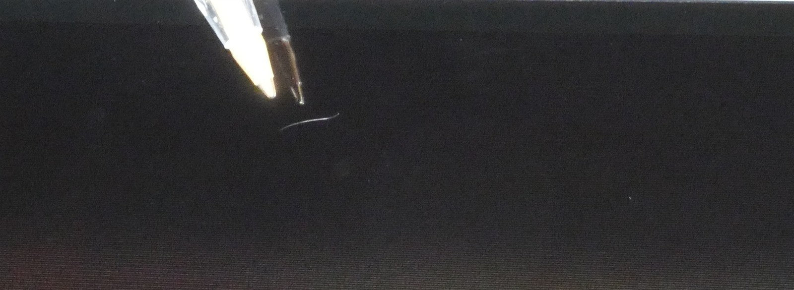 8101369