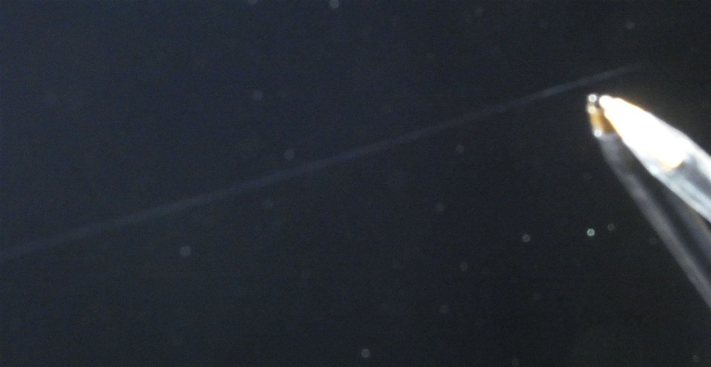 8099034