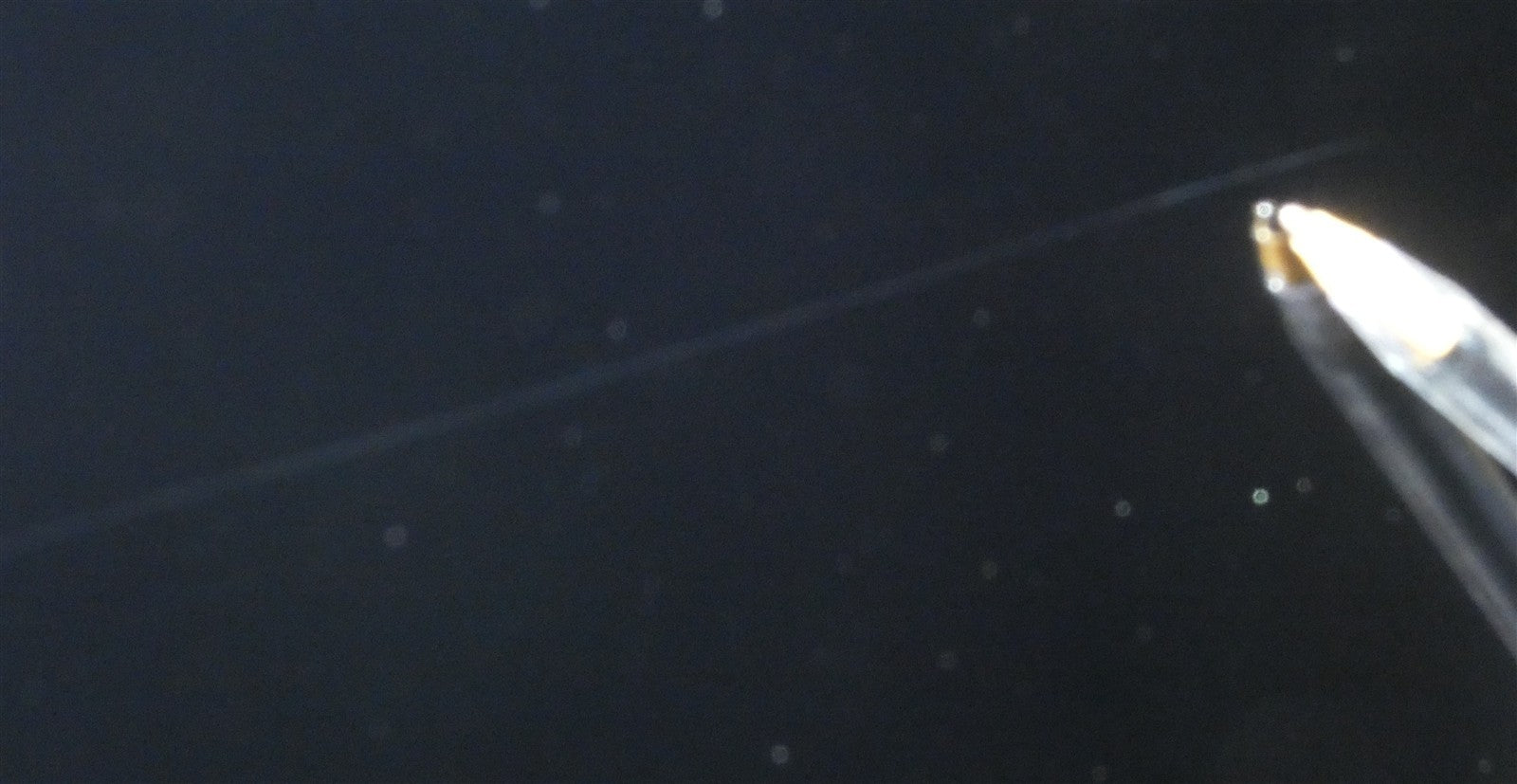 8099034