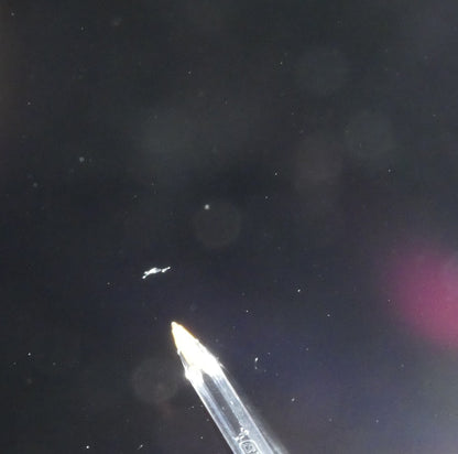 7477417
