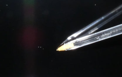 7955140