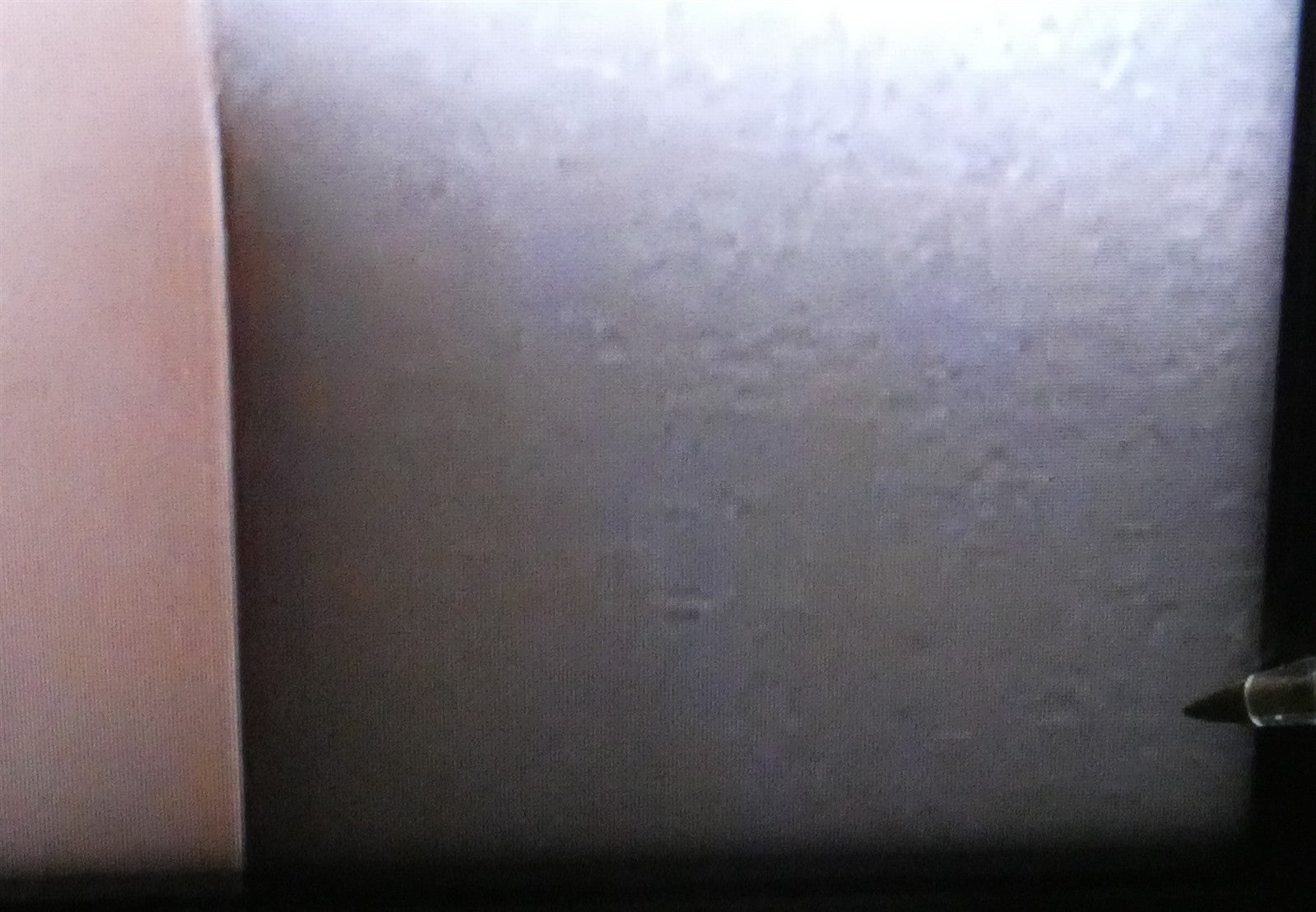 8023979