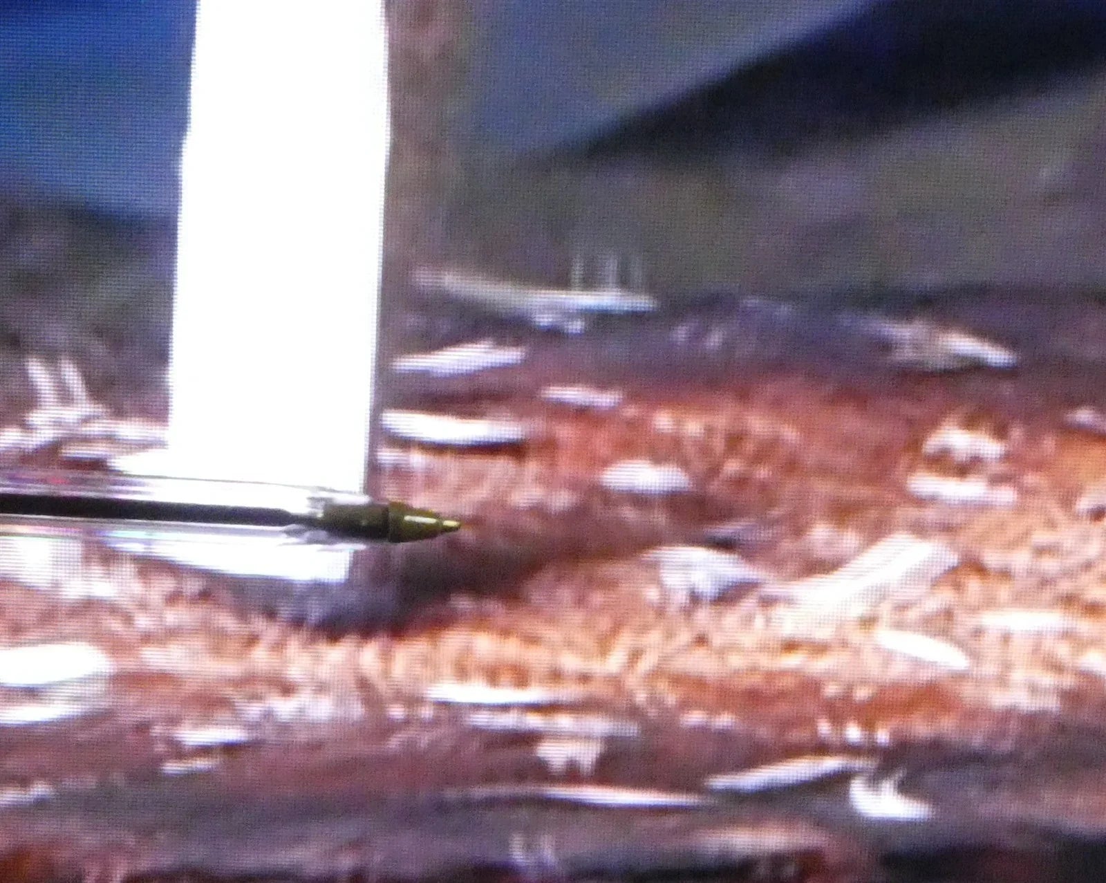 7954729