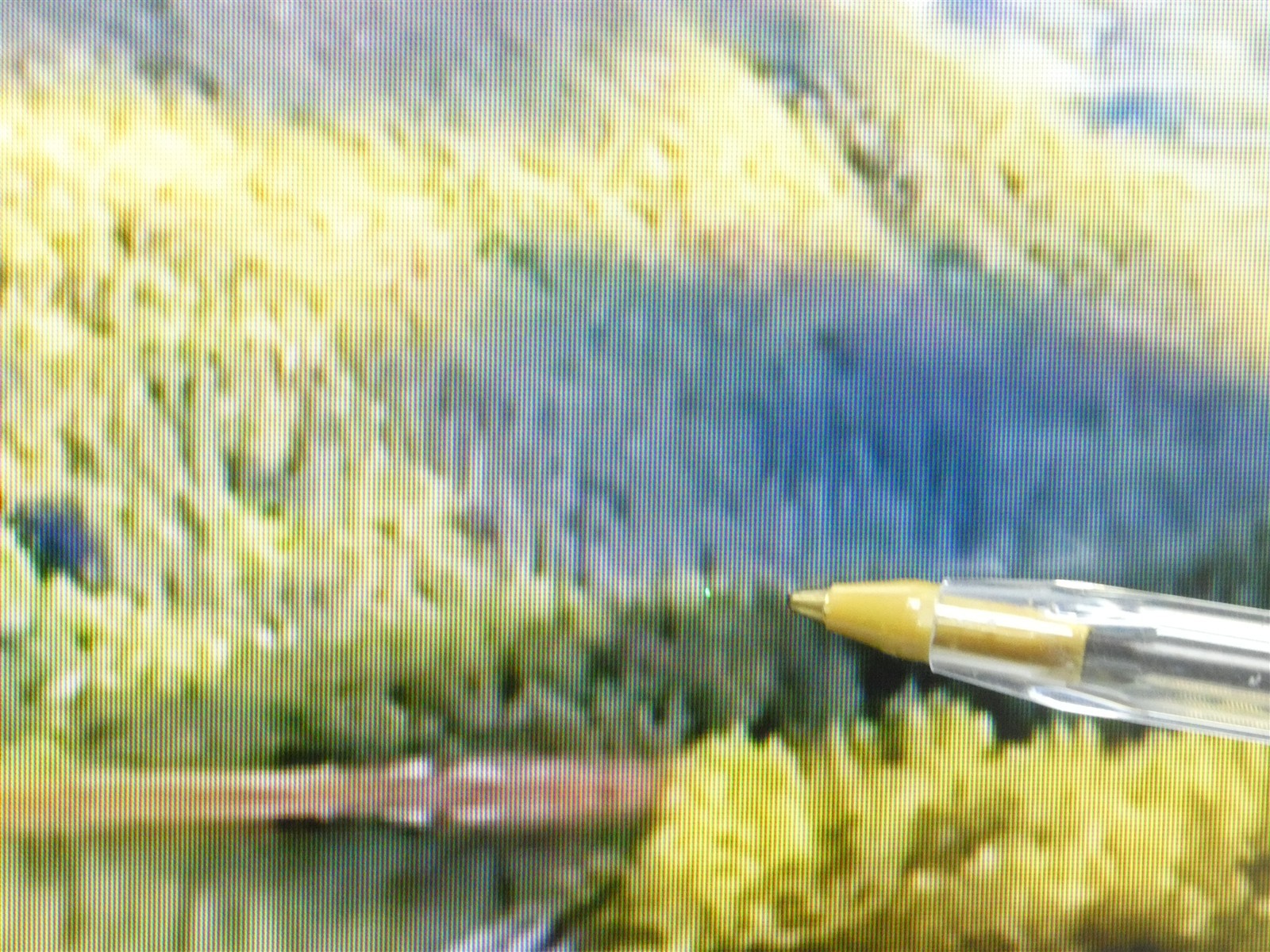 8017306