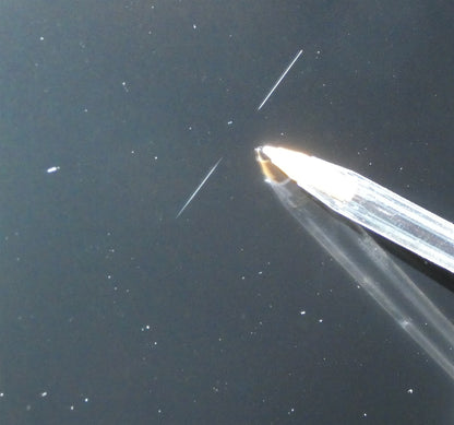 Hisense 43 Inch A7200G LED 4K UHD Smart TV UK Delivery No Stand GRADE BNS