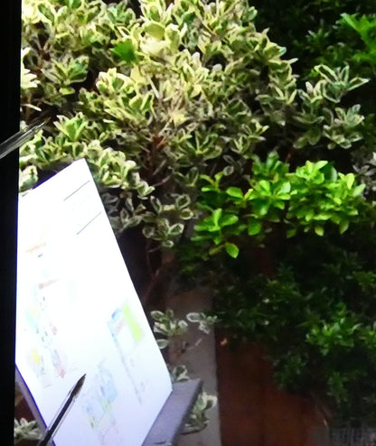 TCL 50PF650K LED 4K UHD Smart TV UK Delivery GRADE B