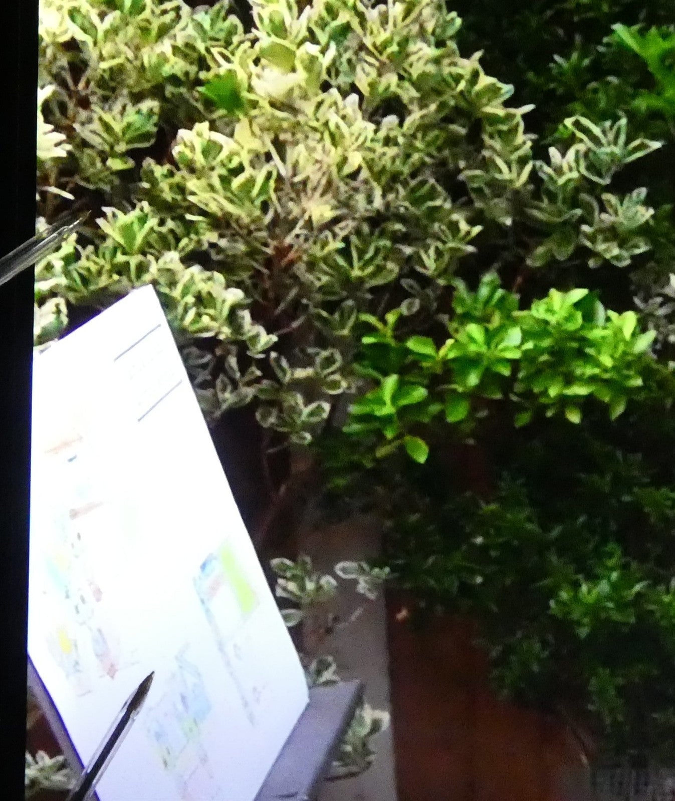 TCL 50PF650K LED 4K UHD Smart TV UK Delivery No Stand GRADE ANS