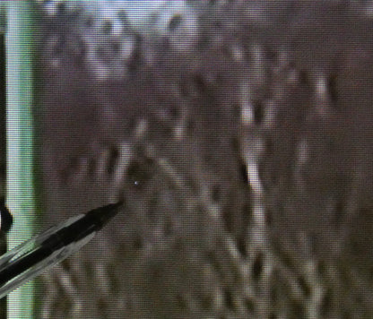 Bush 43FT25CB LED FHD Smart TV UK Delivery No Stand GRADE ANS